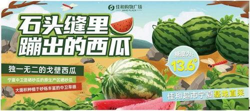 吃瓜网每日大赛 反差大赛51,反差萌十足！吃瓜网每日大赛51反差大赛精彩瞬间大盘点