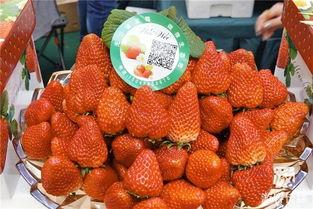 国产草莓在线,甜蜜滋味，绿色健康新选择